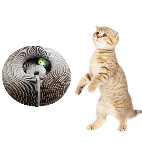 Tableau à gratter Magic Organ Cat - Livré avec une boule de jouet