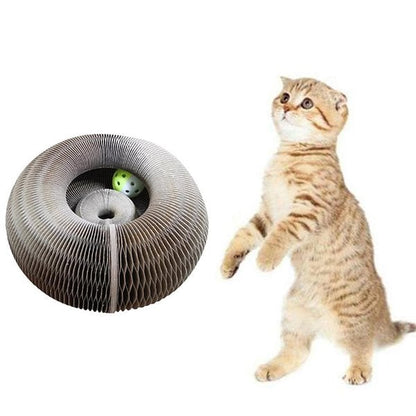 Tableau à gratter Magic Organ Cat - Livré avec une boule de jouet