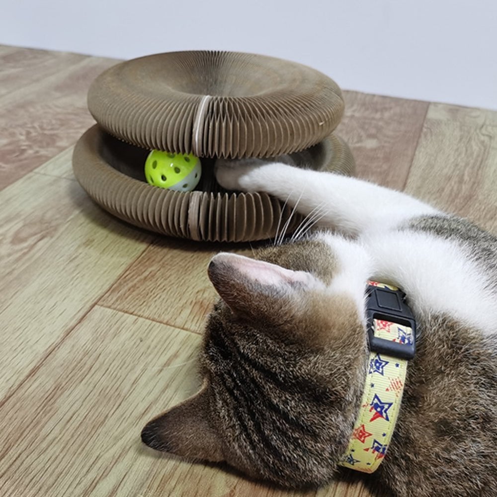 Tableau à gratter Magic Organ Cat - Livré avec une boule de jouet