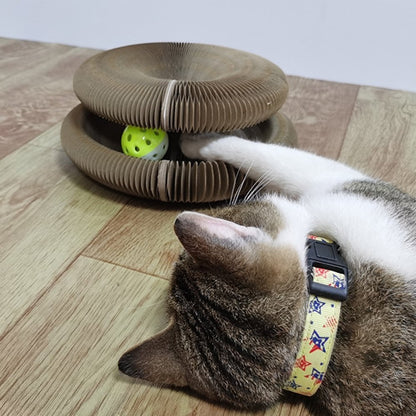 Tableau à gratter Magic Organ Cat - Livré avec une boule de jouet