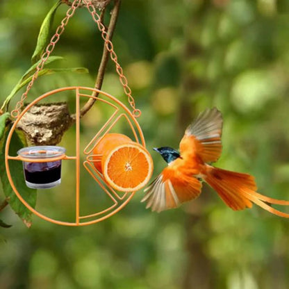 🔥LAST DAY 75% OFF-2-in-1 hanging hummingbird oriole feeder
