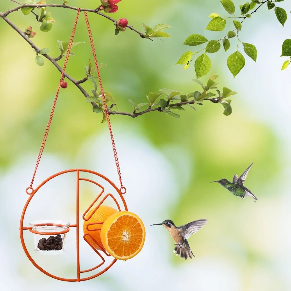 🔥LAST DAY 75% OFF-2-in-1 hanging hummingbird oriole feeder