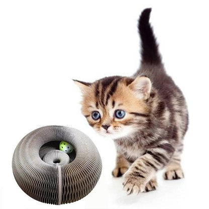 Tableau à gratter Magic Organ Cat - Livré avec une boule de jouet