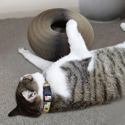 Tableau à gratter Magic Organ Cat - Livré avec une boule de jouet