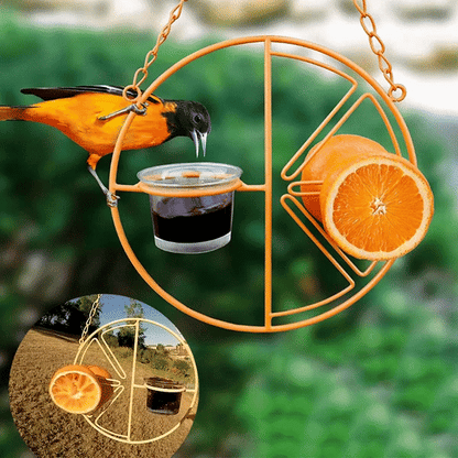 🔥LAST DAY 75% OFF-2-in-1 hanging hummingbird oriole feeder